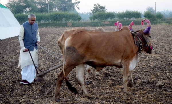 રાજ્યપાલ આચાર્ય દેવવ્રતએ આણંદમાં સોજીત્રાના પલોલ ગામે પ્રાકૃતિક કૃષિ ફાર્મની મુલાકાત લીધી રાજ્યપાલ આચાર્ય દેવવ્રતએ આણંદમાં સોજીત્રાના પલોલ ગામે પ્રાકૃતિક કૃષિ ફાર્મની મુલાકાત લીધી