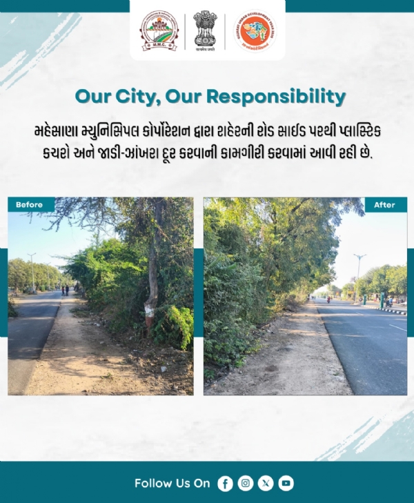 મહેસાણા મ્યુનિસિપલ કોર્પોરેશન દ્વારા શહેરમાં પ્લાસ્ટિક કચરો અને જાડી-ઝાંખરા દૂર કરવાની ઝુંબેશ મહેસાણા મ્યુનિસિપલ કોર્પોરેશન દ્વારા શહેરમાં પ્લાસ્ટિક કચરો અને જાડી-ઝાંખરા દૂર કરવાની ઝુંબેશ