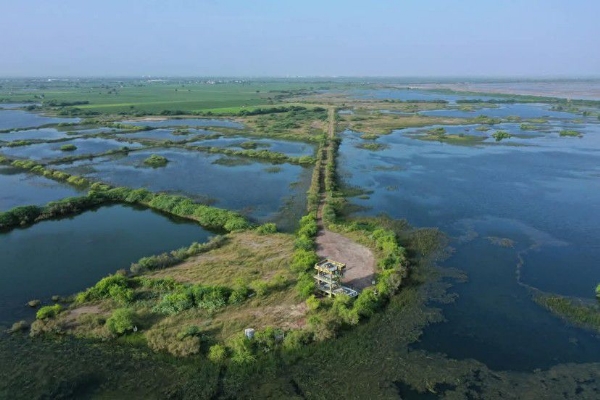 ખીજડિયા પક્ષી અભયારણ્ય 52,400 મુલાકાતીઓ સાથે મજબૂત કરી ગુજરાતની ઇકો-ટુરિઝમ ઓળખ ખીજડિયા પક્ષી અભયારણ્ય 52,400 મુલાકાતીઓ સાથે મજબૂત કરી ગુજરાતની ઇકો-ટુરિઝમ ઓળખ