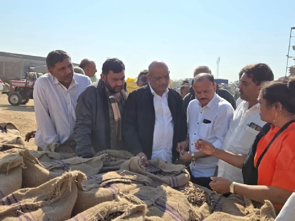 બગસરા ખાતે ટેકાના ભાવે ચાલતા સીંગ ખરીદી કેન્દ્રની સાંસદ ભરત સુતારીયાની મુલાકાત
