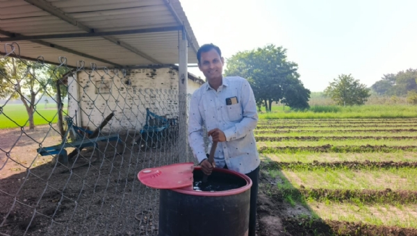 સાવરકુંડલાના ભાવેશભાઈ ઠુમર બન્યા ‘ફેમિલી ફાર્મર’ – પ્રાકૃતિક ખેતીથી ઘઉંનું સીધું ઘરઆંગણે વેચાણ