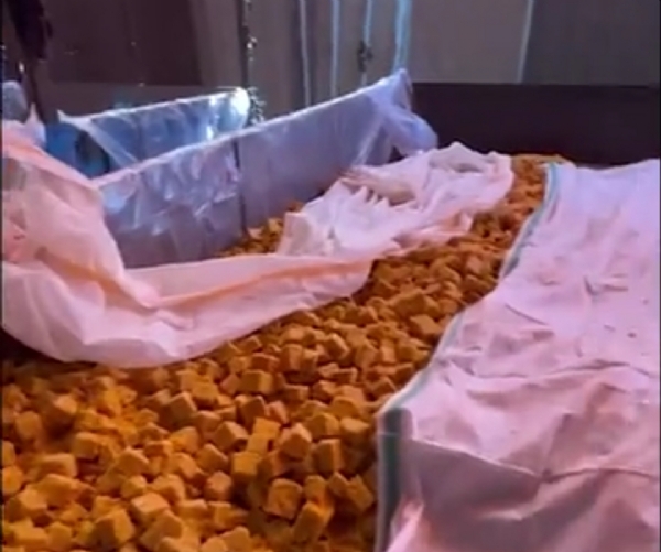 અનાવાડામાં ભાગવત કથામાં રોજ 50,000થી વધુ ભક્તો માટે વૈભવી ભોજન વ્યવસ્થા, લાકડાના ચૂલાં પર તૈયાર થતું વિશાળ ભોજન