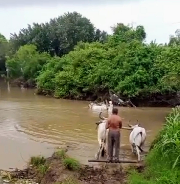 સ્વાગત ઓનલાઈન કાર્યક્રમ પોરબંદરના મોડદરના ગ્રામજનો માટે આશીર્વાદરૂપ સાબિત થયો. સ્વાગત ઓનલાઈન કાર્યક્રમ પોરબંદરના મોડદરના ગ્રામજનો માટે આશીર્વાદરૂપ સાબિત થયો.