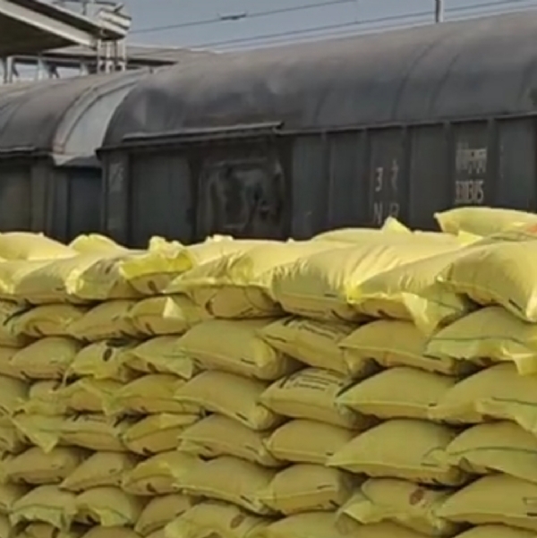 પાટણ જિલ્લામાં યુરિયા ખાતરની અછત દૂર, ખેડૂતોને પૂરતો જથ્થો ઉપલબ્ધ