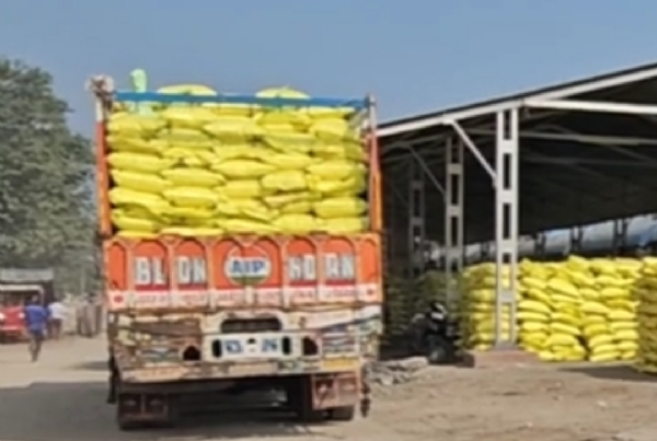 પાટણ જિલ્લામાં યુરિયા ખાતરની અછત દૂર, ખેડૂતોને પૂરતો જથ્થો ઉપલબ્ધ