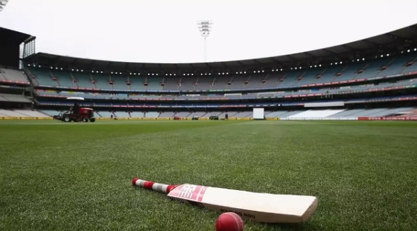 ક્રિકેટ ક્રિકેટ