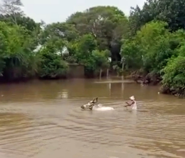 સ્વાગત ઓનલાઈન કાર્યક્રમ પોરબંદરના મોડદરના ગ્રામજનો માટે આશીર્વાદરૂપ સાબિત થયો. સ્વાગત ઓનલાઈન કાર્યક્રમ પોરબંદરના મોડદરના ગ્રામજનો માટે આશીર્વાદરૂપ સાબિત થયો.