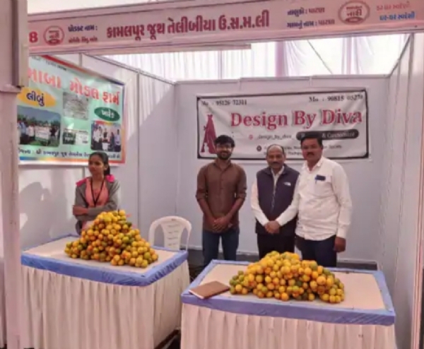 પાટણના પ્રગતિ મેદાન ખાતે યોજાયેલા ત્રિ-દિવસીય સશક્ત નારી મેળામાં પ્રાકૃતિક ખેતીને મળ્યું પ્રોત્સાહન