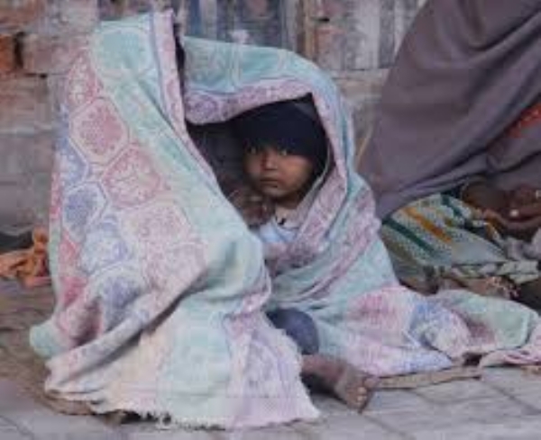 23 ડિસેમ્બર બાદ રાજ્યમાં ઠંડીનું જોર વધશે,અમરેલી,વડોદરા,દીવ અને ડીસામાં નલિયા કરતા વધુ ઠંડી અનુભવાઈ