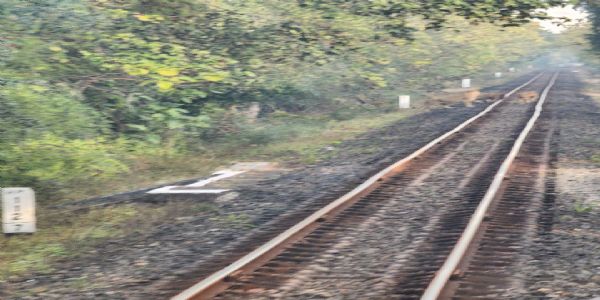 ભાવનગર મંડળના લોકો પાયલટોની સતર્કતાથી 06 સિંહોને ટ્રેનની ચપેટમાં આવતાં બચાવાયા