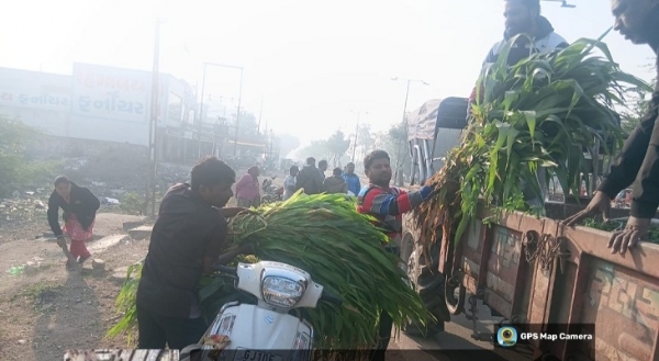 પ્લાસ્ટિક અને ઘાસચારો વેંચતા ધંધાર્થીઓ પર દરોડા