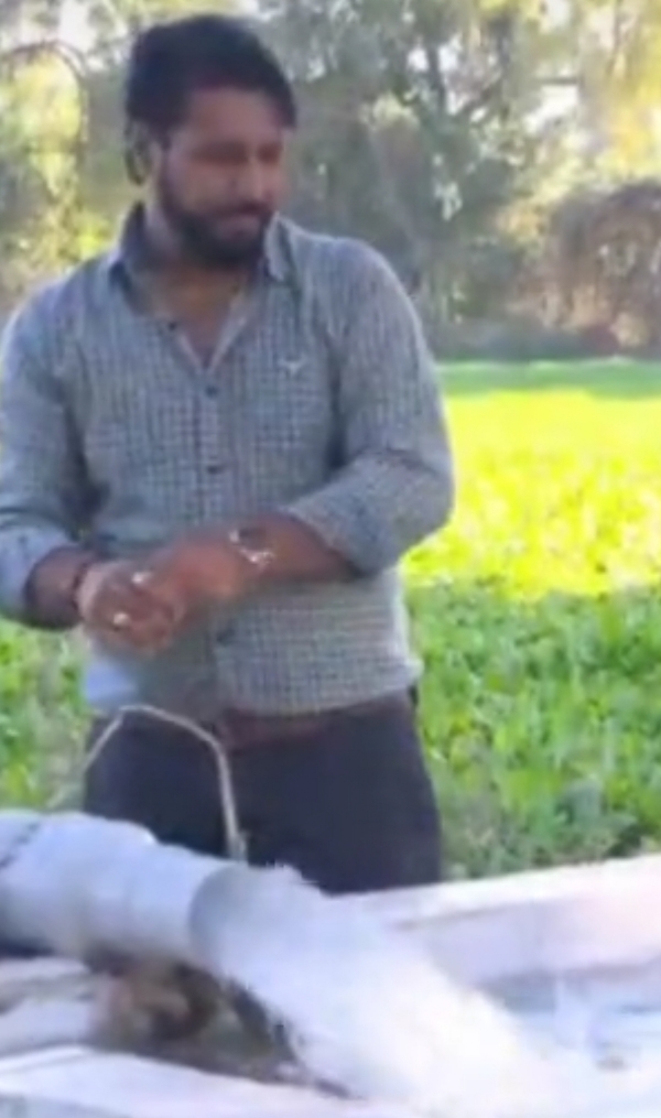 પાટણમાં કિસાન સૂર્યોદય યોજનાથી ખેડૂતોને દિવસની વીજળીનો લાભ