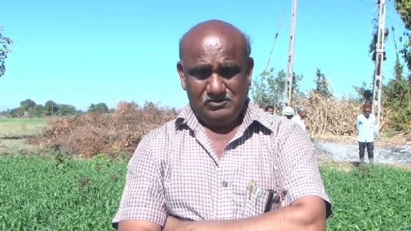 જિલ્લામાં વન્ય પ્રાણી અવરજવર વિસ્તારોમાં રહેતા ખેડૂતોને થઈ રાહત