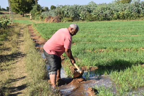 કિસાન સૂર્યોદય યોજનાથી ખેડૂતોના જીવનમાં આવ્યો નવો ઉજાસ