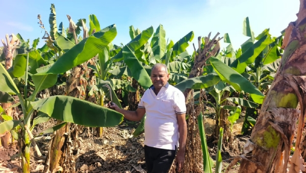 પ્રાકૃતિક ખેતીથી ખેડૂતોએ મેળવી મોટી સફળતા: 7 વીઘામાં કેળાની ખેતીથી એક સિઝનમાં 7 લાખ રૂપિયાનું ઉત્પાદન