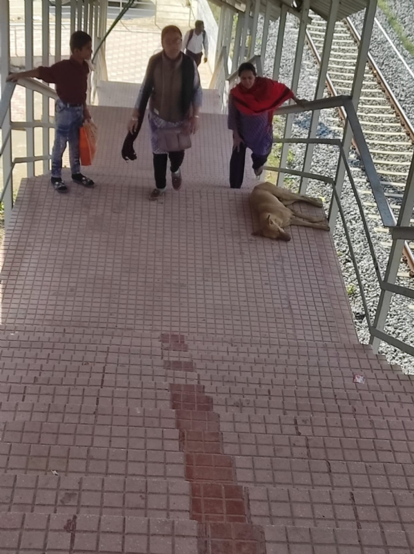 સિદ્ધપુર રેલવે સ્ટેશનનો 3 માળનો ફૂટબ્રિજ મુસાફરો માટે મુશ્કેલીરૂપ