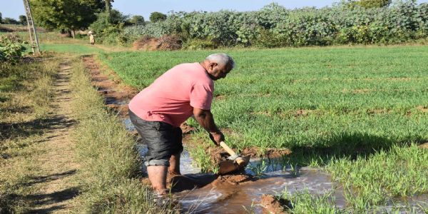 કિસાન સૂર્યોદય યોજનાથી ખેડૂતોના જીવનમાં આવ્યો નવો ઉજાસ