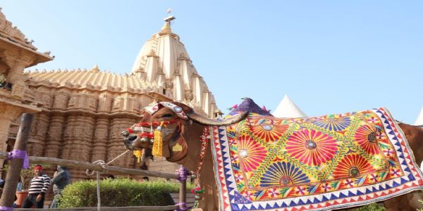 મકરસંક્રાંતિ 14 જાન્યુઆરીને પુણ્યકાળમાં ઓનલાઇન ગૌ-પૂજન ગૌ પૂજન-દાન-પૂજા કરવાથી વિશેષ ફળ પ્રાપ્તી