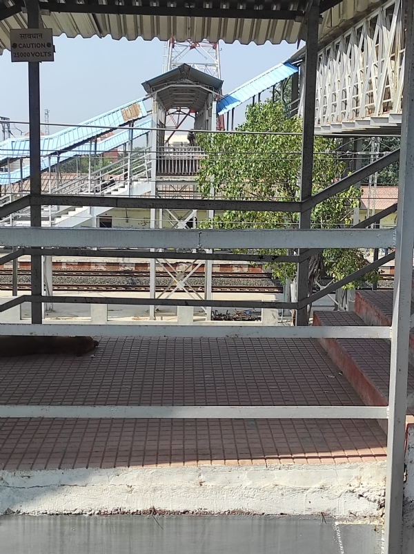 સિદ્ધપુર રેલવે સ્ટેશનને સુવિધાભર બનાવવા માટે પ્રાથમિક તપાસ ટીમ આવી પહોચી સિદ્ધપુર રેલવે સ્ટેશનને સુવિધાભર બનાવવા માટે પ્રાથમિક તપાસ ટીમ આવી પહોચી