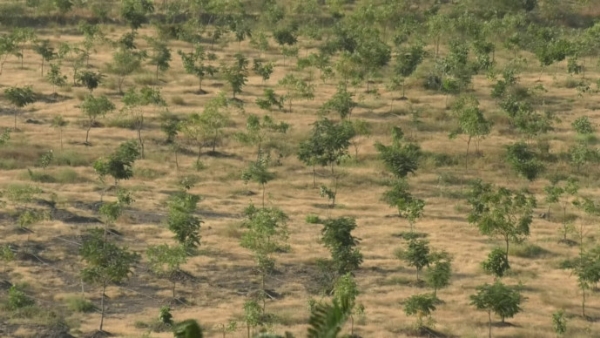 પ્રકૃતિ પ્રેમ પ્રકૃતિ પ્રેમ