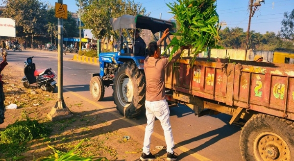 ઘાસચારો જપ્ત કરાયો