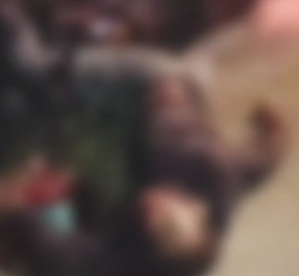 સિદ્ધપુરમાં મોડી રાત્રે માર્ગ અકસ્માત, ઇન્ટર્ન ડોક્ટરનું મોત સિદ્ધપુરમાં મોડી રાત્રે માર્ગ અકસ્માત, ઇન્ટર્ન ડોક્ટરનું મોત