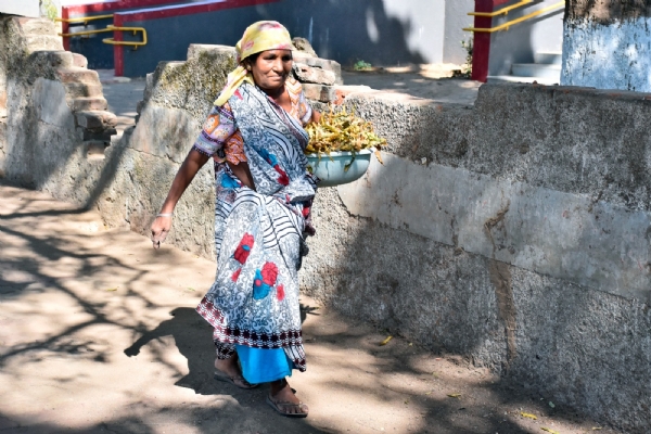 વડોદરા જિલ્લાના સફાઇ સેવીકાને ગ્રામ્ય સ્વચ્છતા માટેના  પ્રશસ્તિપત્ર આપી મુખ્યમંત્રીના અભિનંદન