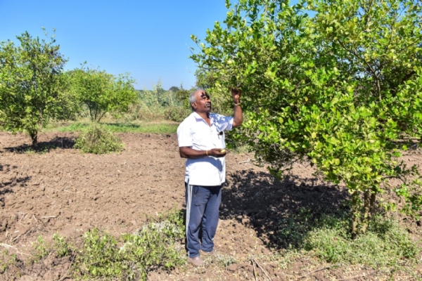 એક ગાયથી 150 થી વધુ ગીર ગાય સુધી પ્રાકૃતિક ખેતીથી આત્મનિર્ભર બન્યા વનરાજ સિંહ ચૌહાણ