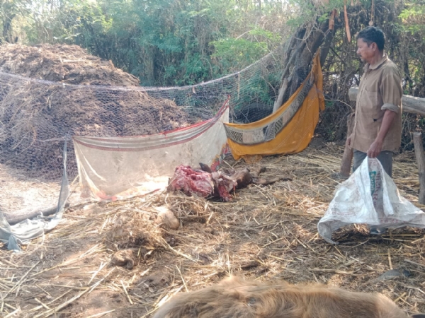 કોડીનાર તાલુકાના મિતીયાજ ગામમાં