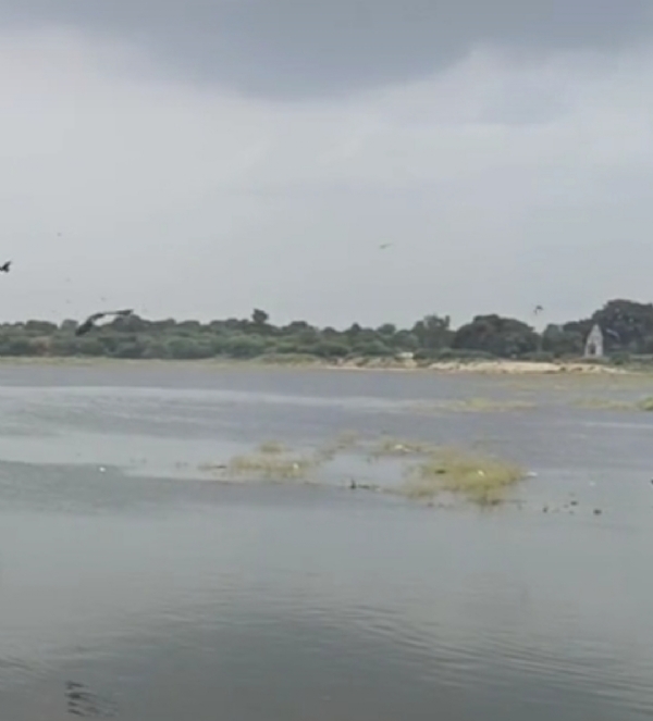 સિદ્ધપુર સરસ્વતી રિવરફ્રન્ટ ફેઝ-2ને ₹19 કરોડની મંજૂરી સિદ્ધપુર સરસ્વતી રિવરફ્રન્ટ ફેઝ-2ને ₹19 કરોડની મંજૂરી