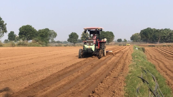 વિજાપુરમાં લેટ વાવેતરનો ફટકો — બટાકામાં ઉત્પાદન ઘટશે, ખેડૂતોને ₹25,000નું નુકસાન સંભાવિત