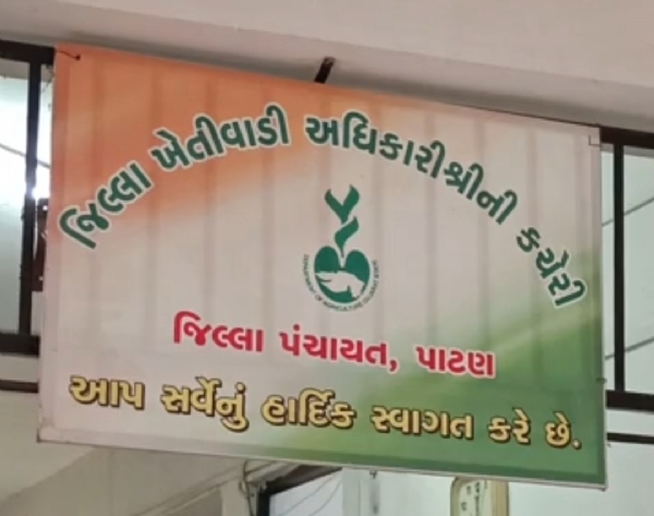 પાટણમાં વરસાદી નુકસાન બદલ ખેડૂતોને સહાયનું વિતરણ શરૂ પાટણમાં વરસાદી નુકસાન બદલ ખેડૂતોને સહાયનું વિતરણ શરૂ