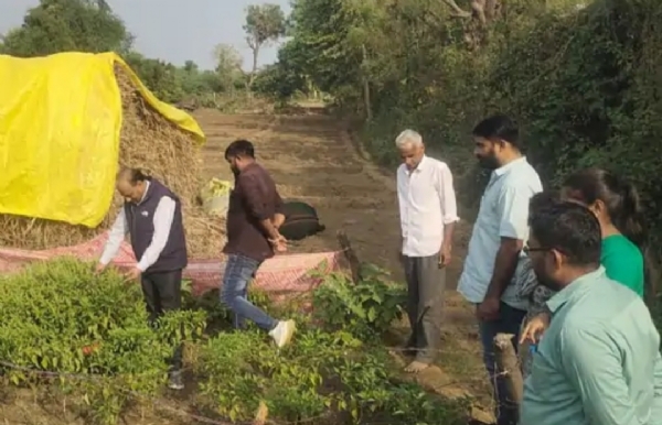 ઊંટવાડા ગામે આત્મા કચેરી પાટણ દ્વારા પ્રાકૃતિક ખેતી અંગે તાલીમ યોજાઈ. ઊંટવાડા ગામે આત્મા કચેરી પાટણ દ્વારા પ્રાકૃતિક ખેતી અંગે તાલીમ યોજાઈ.