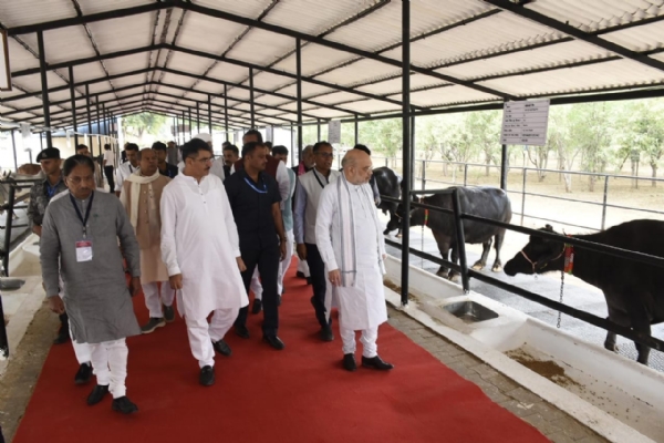 કેન્દ્રીય મંત્રી અમિત શાહે રૈયા ફાર્મના ગર્ભ ટ્રાન્સપ્લાન્ટ લેબની મુલાકાત લીધી