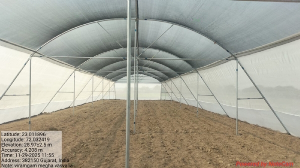 બાગાયતી નર્સરી વિકાસ કાર્યક્રમ દ્વારા બાગાયતી ખેતીને મળશે વેગ