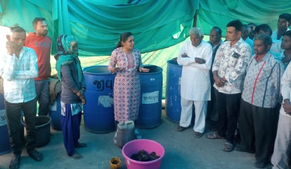 પંચમહાલના હાલોલમાં પ્રાકૃતિક કૃષિ તાલીમ યોજાઈ પંચમહાલના હાલોલમાં પ્રાકૃતિક કૃષિ તાલીમ યોજાઈ