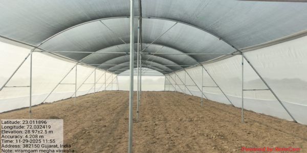 સ્વરોજગારથી સમૃદ્ધિ: બાગાયતી નર્સરી વિકાસ કાર્યક્રમ દ્વારા, બાગાયતી ખેતીને મળશે વેગ