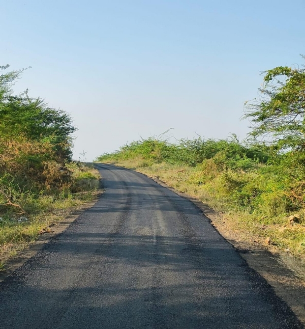 પોરબંદર જિલ્લાના ભાવપરાથી શીતળા માતા મંદિર રોડની પેચવર્કની કામગીરી કરાઈ.