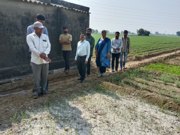 પોરબંદર જિલ્લા વિકાસ અધિકારી બી.બી ચૌધરીએ વેલનાથ પ્રાકૃતિક ફાર્મની મુલાકાત કરી. પોરબંદર જિલ્લા વિકાસ અધિકારી બી.બી ચૌધરીએ વેલનાથ પ્રાકૃતિક ફાર્મની મુલાકાત કરી.