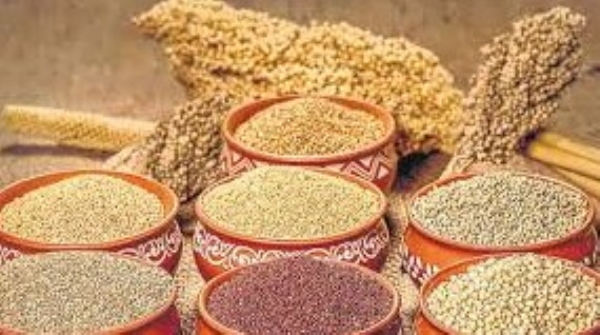 A two-day Millet Expo-2025