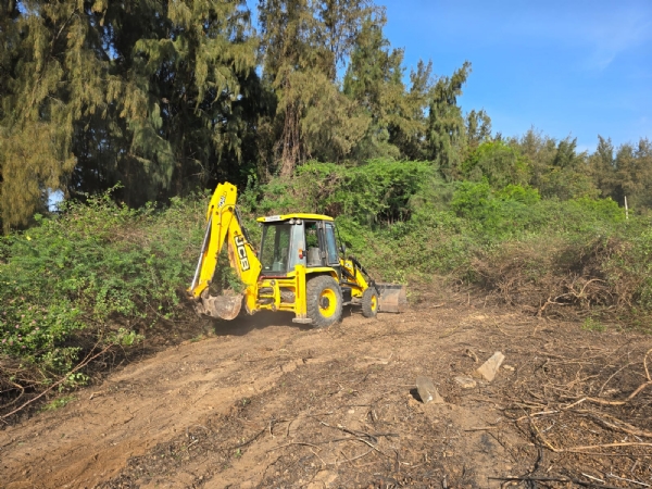 Work has begun to build firelines to protect the forest from fire.