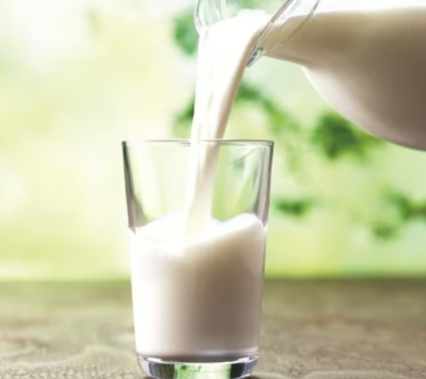 World milk day