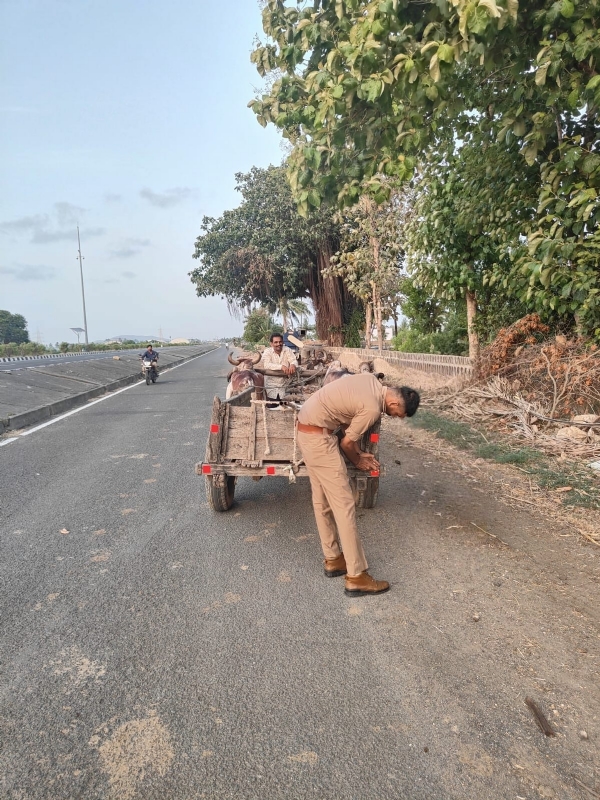 ટ્રાફિક પોલીસ દ્વારા વાહનોમાં રિફલેકટર્સ લગાવાયા.