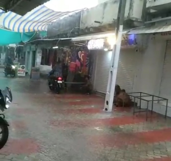 સુત્રાપાડા તાલુકાના પ્રાચી તીર્થ