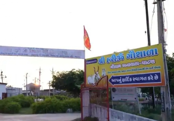 પાટણના અનાવાડા ખાતે અણહિલવાડ ગૌભક્તિ મહોત્સવનું આયોજન થશે