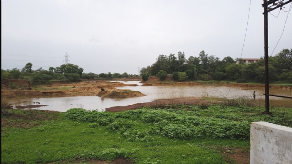 વટારીયા શ્રોફ કોલેજ પાછળ આવેલા અમૃત સરોવરમાં હજારો માછલા મૃત મળ્યા
