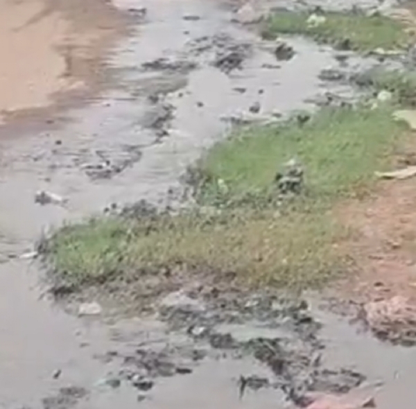 પાટણની ક્રિશ્ના સોસાયટીમાં ગટરના ઉભરાટને લઇ રહીશો દુઃખી પાટણની ક્રિશ્ના સોસાયટીમાં ગટરના ઉભરાટને લઇ રહીશો દુઃખી