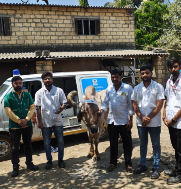 પશુ-પક્ષીઓની સારવાર કરાઈ