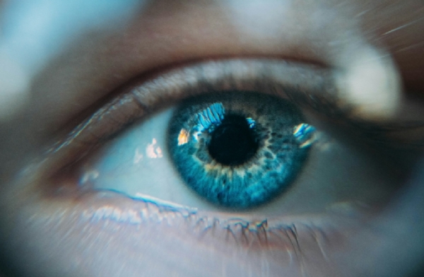 Eye