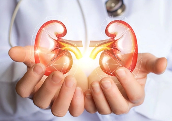 Organ donation